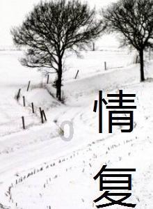 植物大战僵尸11